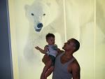 at seaworld