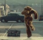 bear1