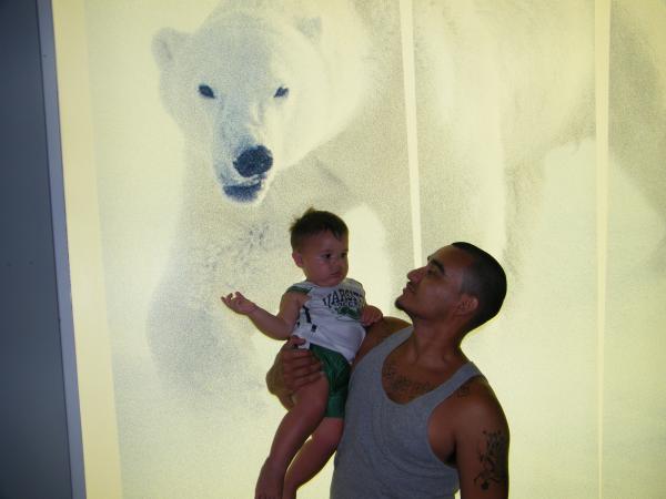 at seaworld